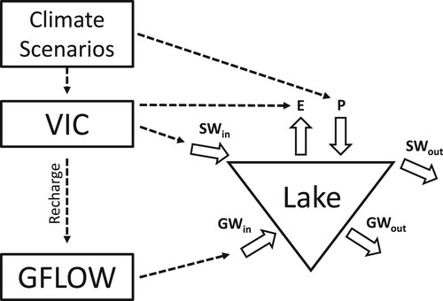 Figure 2. Conceptual figure of the modeling framework used for this study and described in more detail in Hanson et al. (Citation2018). The 12 different climate change scenarios (6 GCMs for both the 2050s and the 2080s climate) drove simulations of the land surface hydrology model (VIC), which simulated recharge to the groundwater aquifer and stream flow into each lake (SWin). The groundwater model (GFLOW) was one-way coupled to VIC and used simulated recharge and lake stage to estimate groundwater inflow (GWin) and outflow (GWout) to and from each lake. Lake surface precipitation (P) was simulated from the climate scenarios and lake evaporation (E) was simulated by VIC. Surface outflow (SWout) was simulated as a linear reservoir and dependent on lake stage. Additionally, lake ice cover was simulated by VIC and lake evaporation was turned off when lake ice was present. At each time step, the lake water budget model (LWB) calculated changes in lake volume and surface elevation using the hydrologic inputs and outputs.