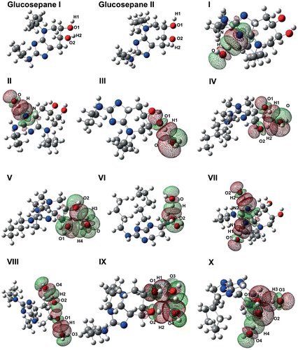 Figure 3. Optimised electronic structure calculations using wb97xd/6-311++g(2df,2p) of both glucosepane controls, and all water-bound glucosepane structures. The molecular orbitals involved in hydrogen water binding are labelled.