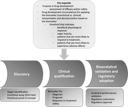 Figure 1. Overview of the path from biomarker discovery to clinical qualification.