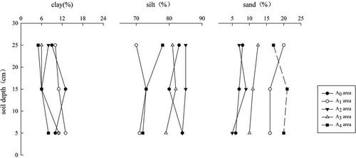 Figure 3. Particle size distribution in the different degraded areas.