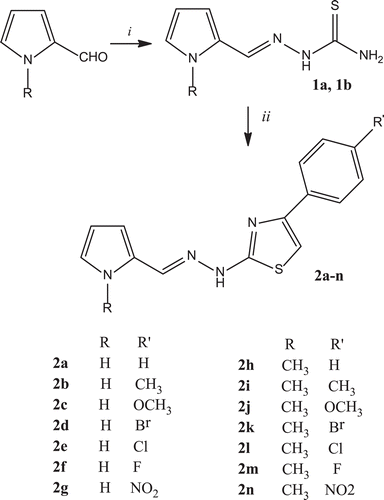 Scheme 1.  Synthesis of the compounds (2a-n). Reagents: (i) thiosemicarbazide, ethanol, reflux; (ii) α-bromo-4-substituted acetophenone, ethanol, rt.