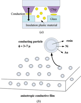 Figure 1 (a) Distribution diagram of conducting particles inside sealing ACF. (b) Diagram of the structure of conducting particles inside the ACF and particle distribution inside the film (color figure available online).