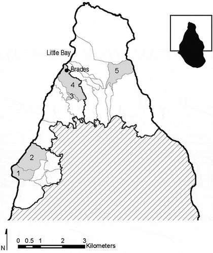 Figure 3. Montserrat’s inhabited enumeration districts. Numbers indicate those purposively selected for interviews: Old Towne (1), Olveston (2), Cudjoe Head (3), Brades/Shinnlands (4) and Lookout (5). Inset shows the area of Montserrat included in larger map (Source: Map created by Ashley Thompson, licensed under CC BY 4.0, using data from the Montserrat Physical Planning Unit’s Land Info database)