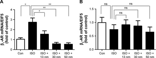 Figure 6 The effects of AuNPs on β-adrenergic receptor (β-AR) mRNA expression in the heart.Notes: (A) The mRNA expression of β1-AR in the heart tissue. (B) The mRNA expression of β2-AR in the heart tissue. *P<0.05, **P<0.01. Data represent mean ± SEM.Abbreviations: AuNPs, gold nanoparticles; ISO, isoproterenol; Con, control; ns, no significance.