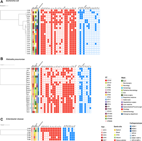 Figure 2 Core genome phylogenetic tree for all CRE isolates according to ARG and plasmid type. (A), E. coli (B), K. pneumoniae and (C), E. cloacae. Colors illustrated lineages, years, source, wards, ST types and carbapenemases, respectively. Red-filled squares indicate possession of the indicated ARG and blue-filled squares indicated plasmid Inc type.