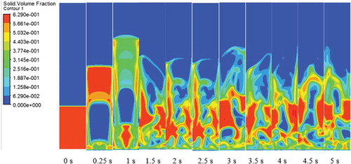 Figure 7. Contours of solid volume fraction at particle size 570 µm with bed height 0.147 m at a speed of 0.92 m/s