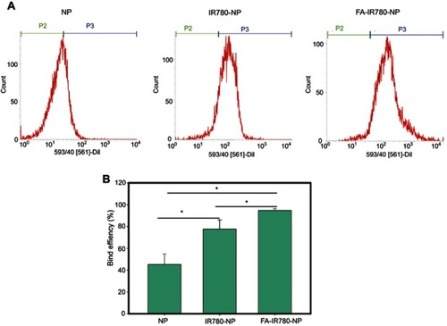 Figure 6 Cell binding efficiency was detected by FCM in various groups. (A) Binding efficiency of different NPs (NP, IR780-NP, FA-IR780-NP) with SKOV3 cells by FCM after 2 h of incubation. (B) Binding efficiency rate in various groups (*P<0.05). The values are expressed as the mean ± SD, n=3 per group.