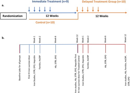 Figure 1. (a) Flow diagram of randomized wait-list control trial. The immediate treatment group (blue) received IV iron at randomization. The control group (red) were observed for 12 weeks; all 10 opted to receive IV iron at that time becoming the delayed treatment group. (b) Timeline of laboratory measures drawn at each time point. The pooled analysis includes data from the immediate treatment group (n = 9) and the delayed treatment group (n = 10).