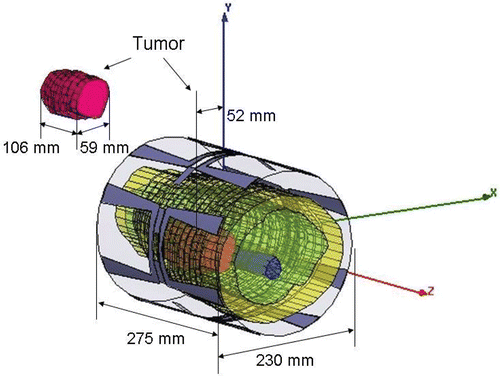 Figure 2. Patient upper leg finite element model, shown within the 140 MHz mini-annular phased array heating apparatus (red for tumor, blue for bone, green for muscle and yellow for fat).