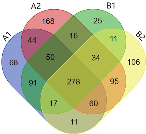 Figure 6 Total of 1074 proteins identified from the purified OMVs in four samples.