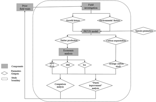 Figure 1. Flowchart of the analysis framework for the current study