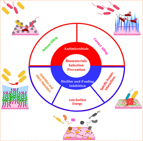 Figure 7 Biomaterial’s infection prevention strategies.