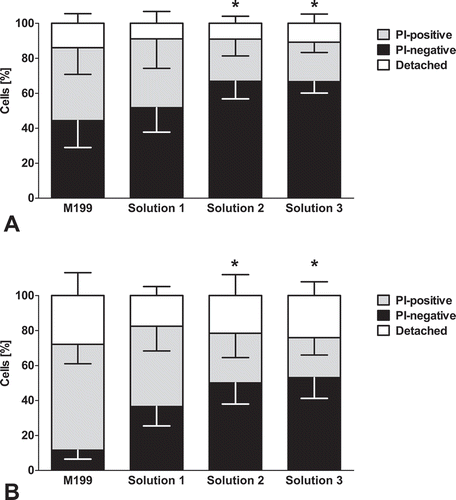 FIGURE 1. Cell viability directly after thawing and after 3 h re-culture.Porcine aortic endothelial cell monolayers were cryopreserved (−0.1°C/min) in serum-containing cell culture medium (M 199), or in solution 1 (chloride-rich), solution 2 (chloride-poor, balanced Na+/K+ concentrations) or solution 3 (chloride-poor, potassium-rich), all supplemented with 10% DMSO. Cell viability was determined by propidium iodide (PI) staining directly after thawing (A; n = 7) or after 3 h of re-culture in cell culture medium (B; n = 7). * percentage of PI-negative cells significantly different from M199.