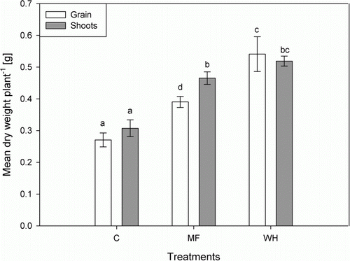 Figure 2  Mean grain versus shoot dry weight per plant of the controls (C), a treatment with the same elemental composition (MF) as in the WH and the WH treatment. Different letters indicate statistically significant difference (P<0.05). Error bars represent±standard deviation of four replicates (n=4).