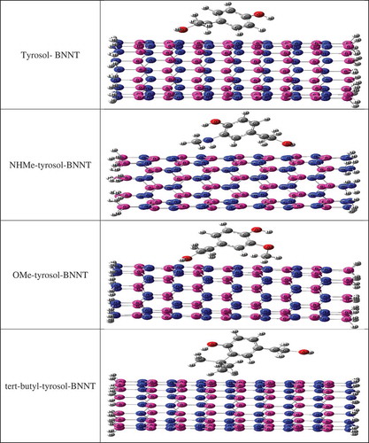 Figure 2. Complexes of x-substituted tyrosol derivatives (x = NHMe, OMe, and tert-butyl) with BN-nanotube (9, 0).