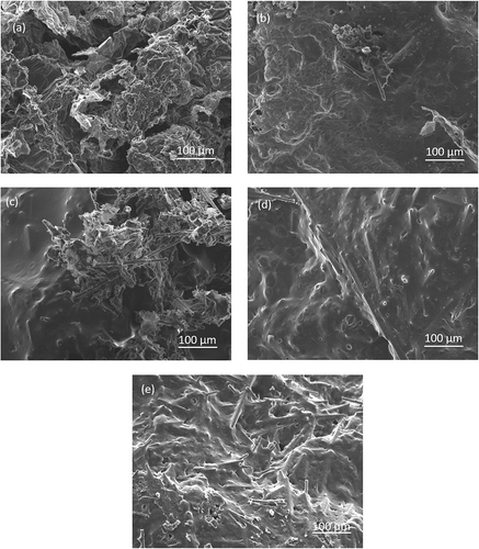 Figure 13. SEM images of char residues for (a) PP1, (b) PP3, (c) PP4, (d) PP7 and (e) PP8.