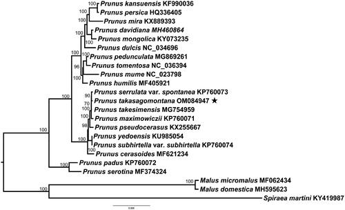 Figure 1. Maximum-likelihood phylogenetic tree for Prunus takasagomontana based on other 22 complete chloroplast genomes with 1000 bootstrap replicates.