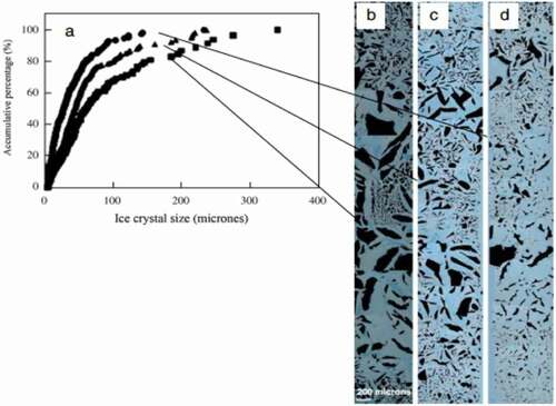 Figure 7. Ice crystal size distribution in ultrasound-assisted freezing of agar gels nucleated at different temperatures (a) size distribution, −2 °C:■; −3 °C:▲; −4 °C:●; (b) corresponding microstructure images (b-d). [Citation72]
