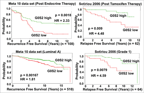 Figure 6. G0S2 expression in breast cancer is associated with decreased recurrence after endocrine or tamoxifen therapy. Kaplan-Meier log-rank test and univariant Cox proportion analysis was performed using the SurvExpress databaseCitation32 with cases divided into two groups above and below the median G0S2 expression value. Results are from the 10 data set meta-analysis constructed by SurvExpress and the independent Sotiriou 2006 dataset. For list of other studies supporting an association between recurrence free survival and G0S2 level after antiestrogen therapy see Supplementary Table S1.
