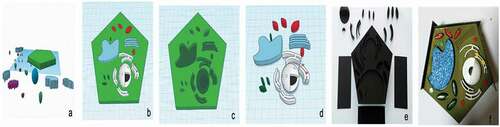 Figure 1. The process of developing a 3D plant cell model by students: a-d 3D plant cell modelling; e-f printed 3D model.