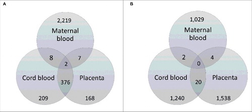 Figure 2. Venn diagrams illustrating comparison of genes differentially methylated in GDM using maternal blood with those identified in cord blood and placenta of GDM affected pregnancies from the cohorts of (A) Finer et al.Citation22 and (B) Ruchat et al.Citation17, respectively. The genes from our dataset that were common with the other study are shown in dark gray shading. Genes identified as differentially methylated in Finer et al.Citation22 were obtained from Supplementary file 2 of the published article, while the list of differentially methylated genes identified by Ruchat et al.Citation17 was kindly provided through personal communication with the corresponding author of Ruchat et al.Citation17