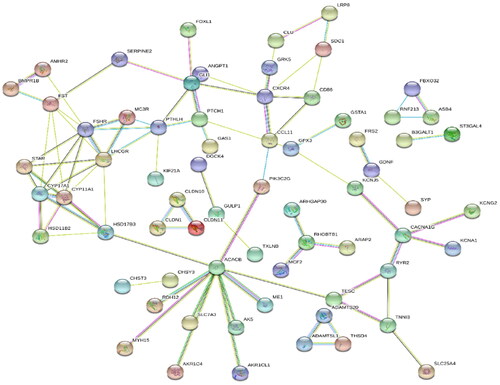 Figure 5. Protein–protein interaction network of DEGs. Lines of different colors represent seven types of evidence used in predicting associations. red: fusion evidence; green line: neighborhood evidence; blue: co-occurrence evidence; purple: experimental evidence; yellow: text mining evidence; light blue: database evidence; black: co-expression evidence.