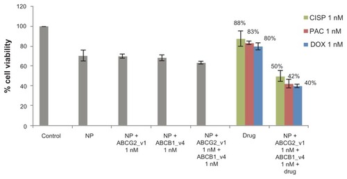 Figure 5 Combination effect of two siRNAs targeting ABCG2 and ABCB1 (ABCG2_v1 and ABCB1_v4 respectively) co-delivered with carbonate apatite nanoparticles on MCF-7 cell viability in presence of traditionally used chemotherapeutic agents. Anti-ABC siRNAs-carbonate apatite complexes were generated by mixing exogenously added 3 mM calcium chloride in 1 mL bicarbonate-buffered DMEM (pH 7.4), followed by addition of anti-ABCG2 (1 nM) and anti-ABCB1 siRNA (1 nM) and incubation at 37°C for 30 minutes. Supplementation of 10% FBS was followed by addition of 1 nM drug (doxorubicin, paclitaxel or cisplatin).Note: Transfection of MCF-7 cells was performed with the siRNA/nanoparticle complexes in presence of the free drugs for a consecutive period of 48 hours and viability of the cells was determined using MTT assay.Abbreviations: NP, nanoparticles; siRNA, small interfering RNA; DOX, doxorubicin; PAC, paclitaxel; CISP, cisplatin.