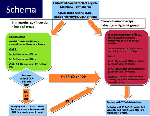 Figure 1. Treatment schema.