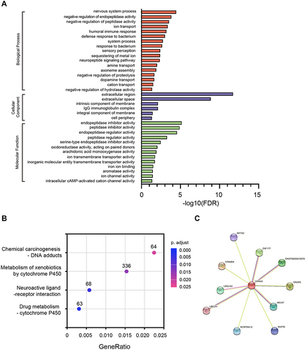 Figure 6 Gene ontology categories, Kyoto Encyclopedia of Genes and Genomes pathways, and protein–protein interaction network associated with TRIM58. Gene ontology categories (A); Kyoto Encyclopedia of Genes and Genomes pathways (B); and protein–protein interaction network (C) associated with TRIM58.