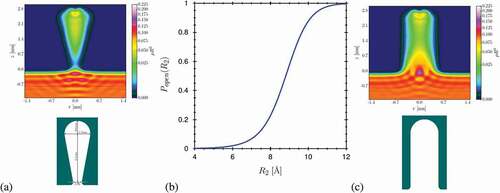 Figure 3. (a) The geometry of a simple model channel, that enters a C-DFT calculation as external potential and a cut through the corresponding equilibrium density profile of a closed configuration of the gate, that is blocked by a bubble. (b) The probability of finding the channel open as function of the gate radius R2. (c) The geometry and the corresponding equilibrium density profile of an open channel that is filled with a liquid-like water density. Reprinted (abstract/excerpt/figure) with permission from [Citation128]. Copyright 2017 by the American Physical Society.