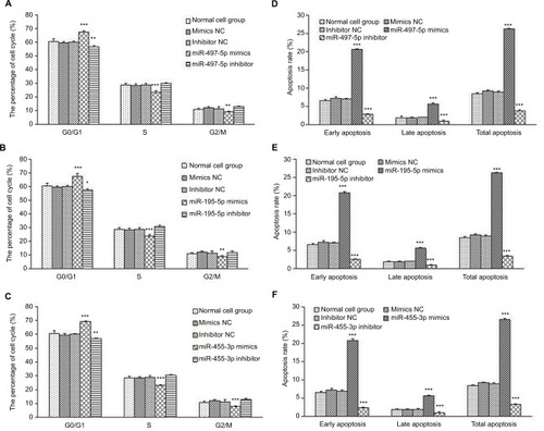 Figure 5 Overexpression of miR-497-5p, miR-195-5p and miR-455-3p arrested cell cycle and promoted cell apoptosis.Notes: (A–C) Cell cycle analysis was performed after transfected with miR-497-5p/miR-195-5p/miR-455-3p mimics and inhibitors. (D–F) The percentage of early/late/total apoptosis cells of each group after transfection. All data were presented as mean±SD, and all of these experiments were performed in triplicate. ***p<0.001, **p<0.01, *p<0.05, compared to control groups.Abbreviation: NC, negative control.