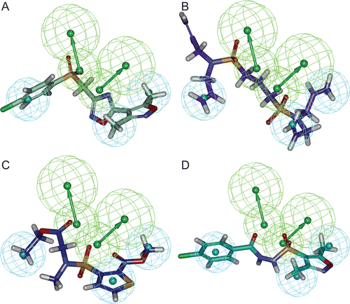 Figure 4.  Pharmacophore mapping of final database hit compounds on the best pharmacophore hypothesis “Hypo 1”, (A) SEW00846 represented in green colour, (B) NCI0040784 represented in violet colour, (C) GK03167 represented in blue colour, and (D) CD10645 represented in cyan colour. In the pharmacophore hypothesis, green represents hydrogen bond acceptor (HBA) and cyan represents hydrophobic (HY) features.