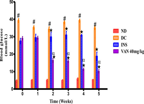 Figure 3 Shows weekly blood/ glucose concentration measured after insulin injection and vanadium administration. The blood glucose was measured in non-diabetic, diabetic control, as well as insulin and vanadium (40mg/kg) treated diabetic rats (n=6) over a 5-week experimental period. Values are presented as means and vertical bars indicate SEM (n=6 in each group). #p<0.05 by comparison with normal control animals. ★p<0.05 by comparison with diabetic control. αp<0.05 by comparison with positive insulin control.