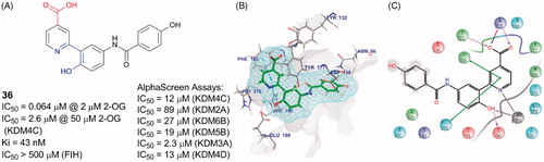 Figure 9. Compound 36 and its binding pose. (A) Structure of 36; (B) and (C) 36 binding pose (PDB code: 5A7W).