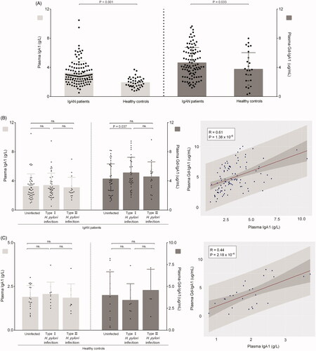 Figure 2. Levels of plasma IgA1 and galactose-deficient IgA1 in participants. (A) The plasma IgA1 and Gd-IgA1 levels in patients with IgAN and healthy controls. (B) The Plasma IgA1 and Gd-IgA1 levels in IgAN patients with or without H. pylori infection. (C) The Plasma IgA1 and Gd-IgA1 levels in healthy controls with or without H. pylori infection.