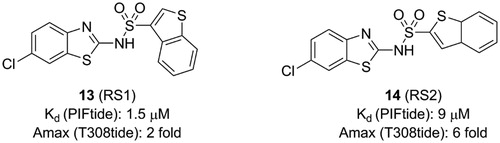 Figure 6. Structure and biochemical characterisation of diaryl sulphonamide derivatives. Kd: the ability of compounds to displace PIFtide in a FP competitive binding assay.