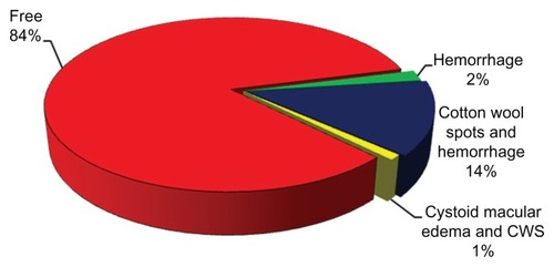 Figure 1 Pie graph represents the type and percentage or retinopathy in patients included in the study.