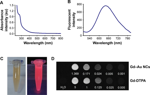 Figure S2 (A) UV–visible absorption spectra of Gd–Au NCs. (B) Fluorescent emission spectra of Gd–Au NCs. (C) Bright (left) and fluorescent (right) photograph of Gd–Au NCs. (D) T1-weighted MR images of Gd-DTPA and Gd–Au NCs with various concentrations (mM).Abbreviations: DTPA, diethylenetriaminepentacetate; Gd-Au-NC-GPC-1, Gd–Au NCs conjugated with GPC-1 antibody; GPC-1, Glypican-1; MR, magnetic resonance; NCs, nanoclusters; UV, ultraviolet.