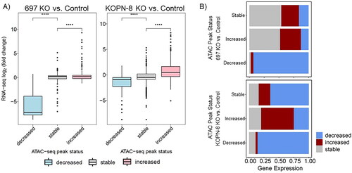 Figure 6. SETD2 mediated chromatin accessibility changes correlate with gene expression changes. (A) Correlation boxplots of gene expression changes and chromatin accessibility changes (decreased, stable, increased) for each cell line. (B) Association bar plots showing fraction of genes (decreased, increased, or stable) at accessibility changes (decreased, increased, or stable).