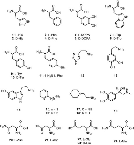 Figure 1. Amino acids and amines 1–24 investigated as CAAs in the current article.