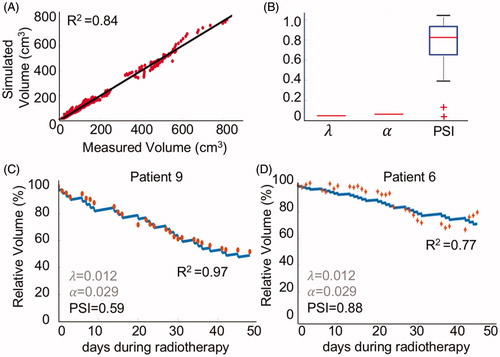 Figure 2. Simulated patient-specific tumor volume regression during radiotherapy with only PSI as patient-specific parameter with derived uniform tumor growth parameter λ = 0.012 day−1 and radiation sensitivity α = 0.029 Gy−1. (A) Correlation of simulated volumes and measured volumes for all 25 patients (R2=0.84). (B) Distribution of PSI across all 25 patients. (C) Patient 9 with the best fit of the mathematical model to the data (R2=0.97). (D) Patient 6 with an average fit of the model to the data (R2=0.77).