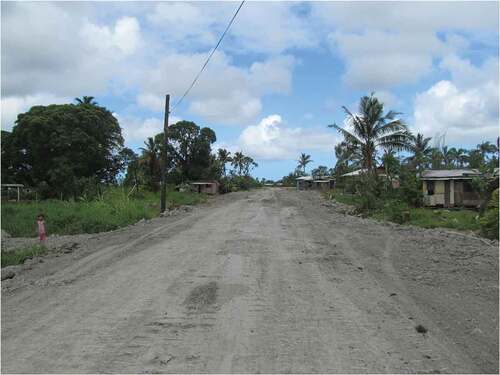 Figure 4. Road clearing dividing the settlement