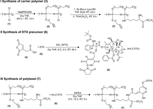 Figure 1 Reaction scheme for synthesis of the drug carrier polymer (I), DTX precursor (II), and conjugate drug, Polytaxel (III).Note: The numbers in parentheses are the identification numbers for compounds.Abbreviations: AA, aconitic acid; Boc, tert-Butoxycarbonyl; DIC, diisoproplycarbodiimide; DIPEA, N-ethyldiisoproplyamine; DPTS, 4-(dimethylamino)pyridine 4-toluenesulfonate; DTX, docetaxel; Et3N, triethyl amine; Lys, lysine; MPEG, methoxy poly(ethylene glycol); OEt, ethylester; RT, room temperature; TFA, trifluoroacetic acid; THF, tetrahydrofuran.