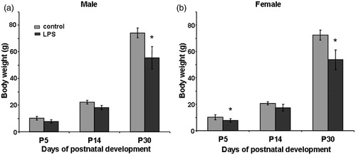 Figure 2. Effect of prenatal exposure to lipopolysaccharide (LPS; 18 μg/kg, i.p. on E12) on body weight in male (a) and female (B) offspring at P5 (n = 30 per group), P14 (n = 20 per group), and P30 (n = 10 per group). Data are M ± SEM. Statistical analysis: one-way analysis of variance: *р < 0.01 between groups at same age.