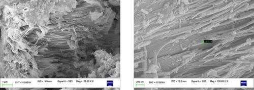 Figure 2 SEM images of as-prepared MnO2 NPs in different magnifications.
