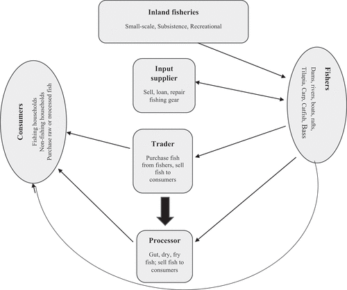 Figure 3. Value chain map of inland fisheries in the Vhembe District Municipality.