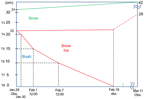 Fig. 14. A schematic picture of snow ice growth at site 3. The vertical axis represents the heights with sensor names referenced to the ice/slush interface on 29 January. The horizontal axis represents time. The red line represents the boundaries between SI and slush or dry snow. The green line represents the snow surface. The red dashed line represents the supposed boundary between SI and dry snow which was not observed. The black dashed vertical and horizontal lines represent the dates and the corresponding heights of slush, respectively.