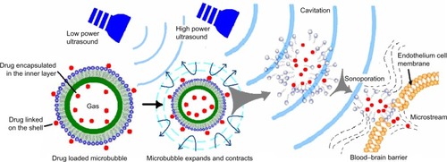 Figure 7 Illustration of ultrasonic microbubbles for drug targeted delivery.