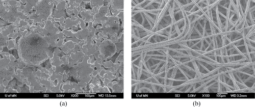 Figure 1. SEMs of (a) sintered metal powder (grade 2) and (b) sintered metal fiber filter media (Fecralloy).