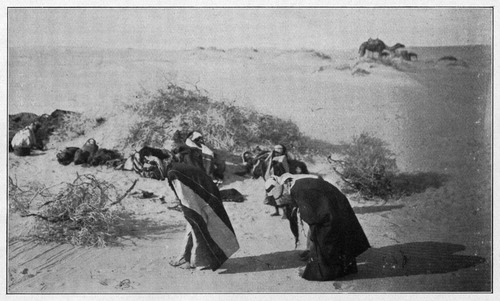 Figure 2: Bedouin praying, Qatar, 1904.Footnote54